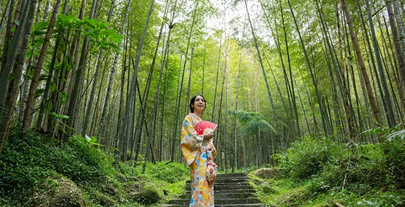 beyond-seoul-&-busan-mid-content-6